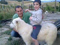kid and dog
